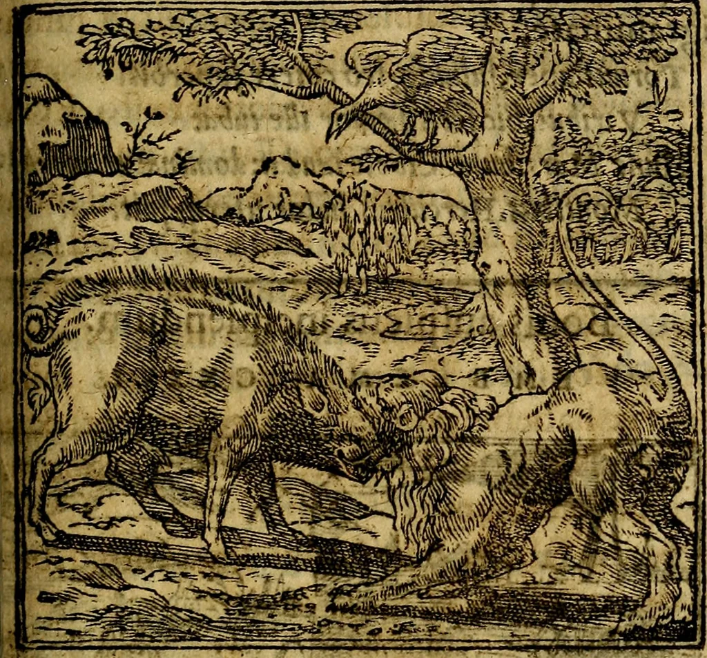 An illustration from Francisci Sanctii Brocensis .., 1573, leaf 378