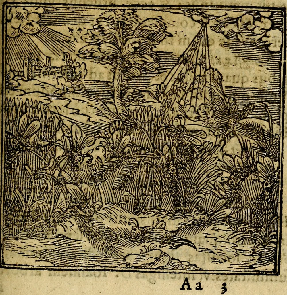 An illustration from Francisci Sanctii Brocensis .., 1573, leaf 380