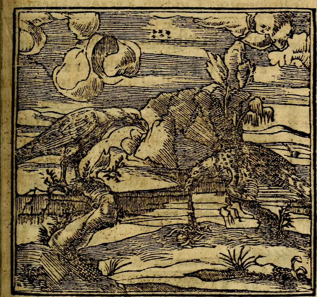 An illustration from Francisci Sanctii Brocensis .., 1573, leaf 386