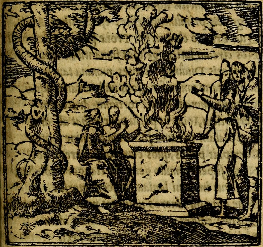 An illustration from Francisci Sanctii Brocensis .., 1573, leaf 392