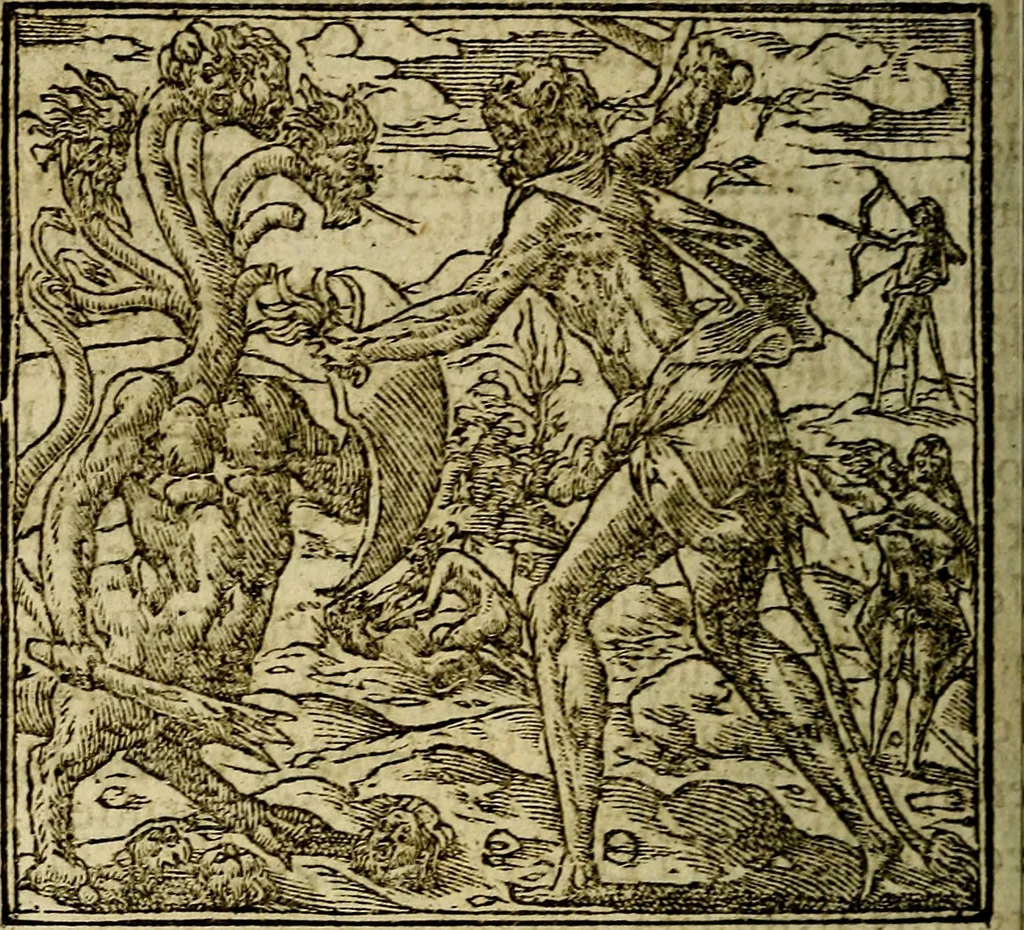 An illustration from Francisci Sanctii Brocensis .., 1573, leaf 409