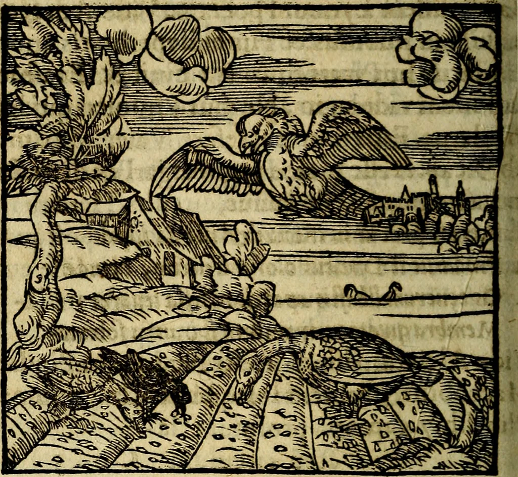 An illustration from Francisci Sanctii Brocensis .., 1573, leaf 415