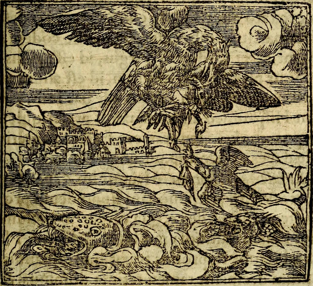 An illustration from Francisci Sanctii Brocensis .., 1573, leaf 418