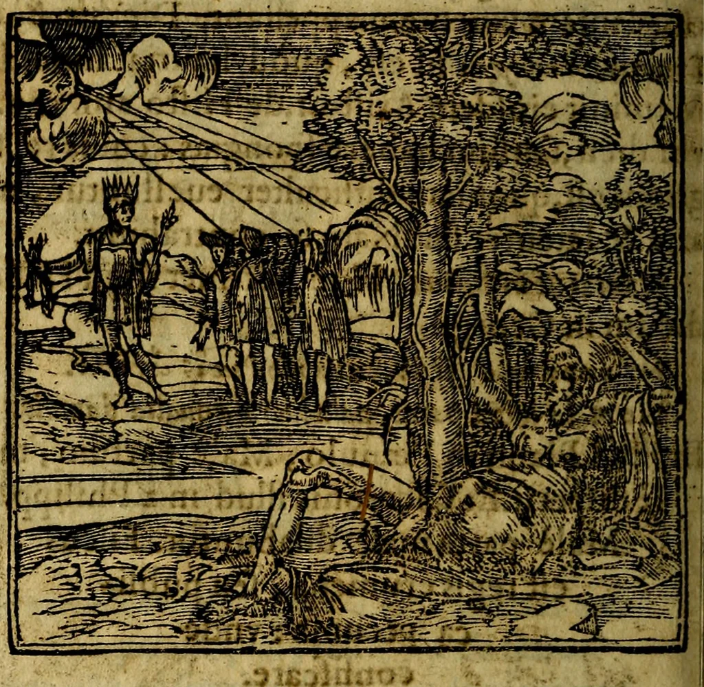 An illustration from Francisci Sanctii Brocensis .., 1573, leaf 429