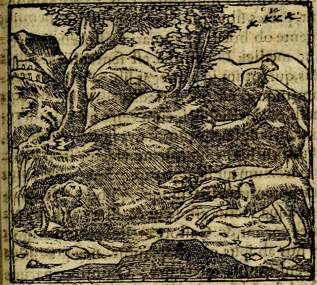 An illustration from Francisci Sanctii Brocensis .., 1573, leaf 442