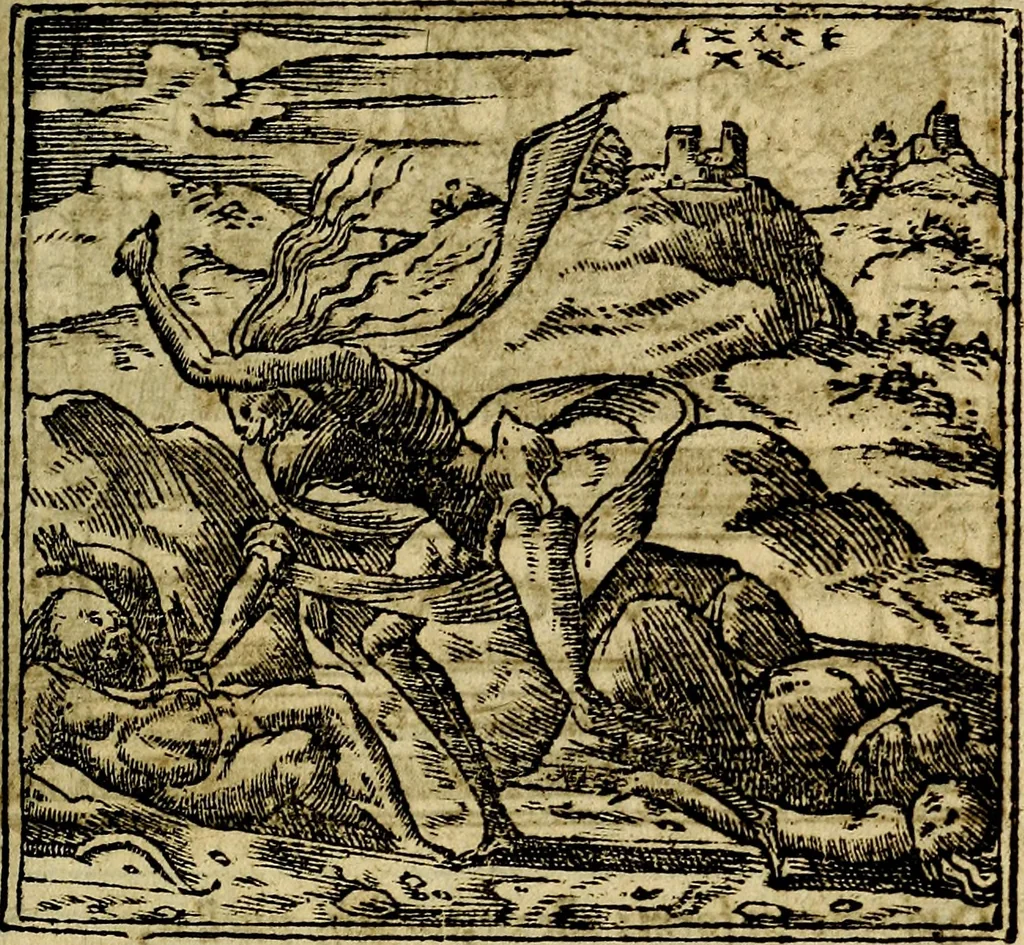 An illustration from Francisci Sanctii Brocensis .., 1573, leaf 448