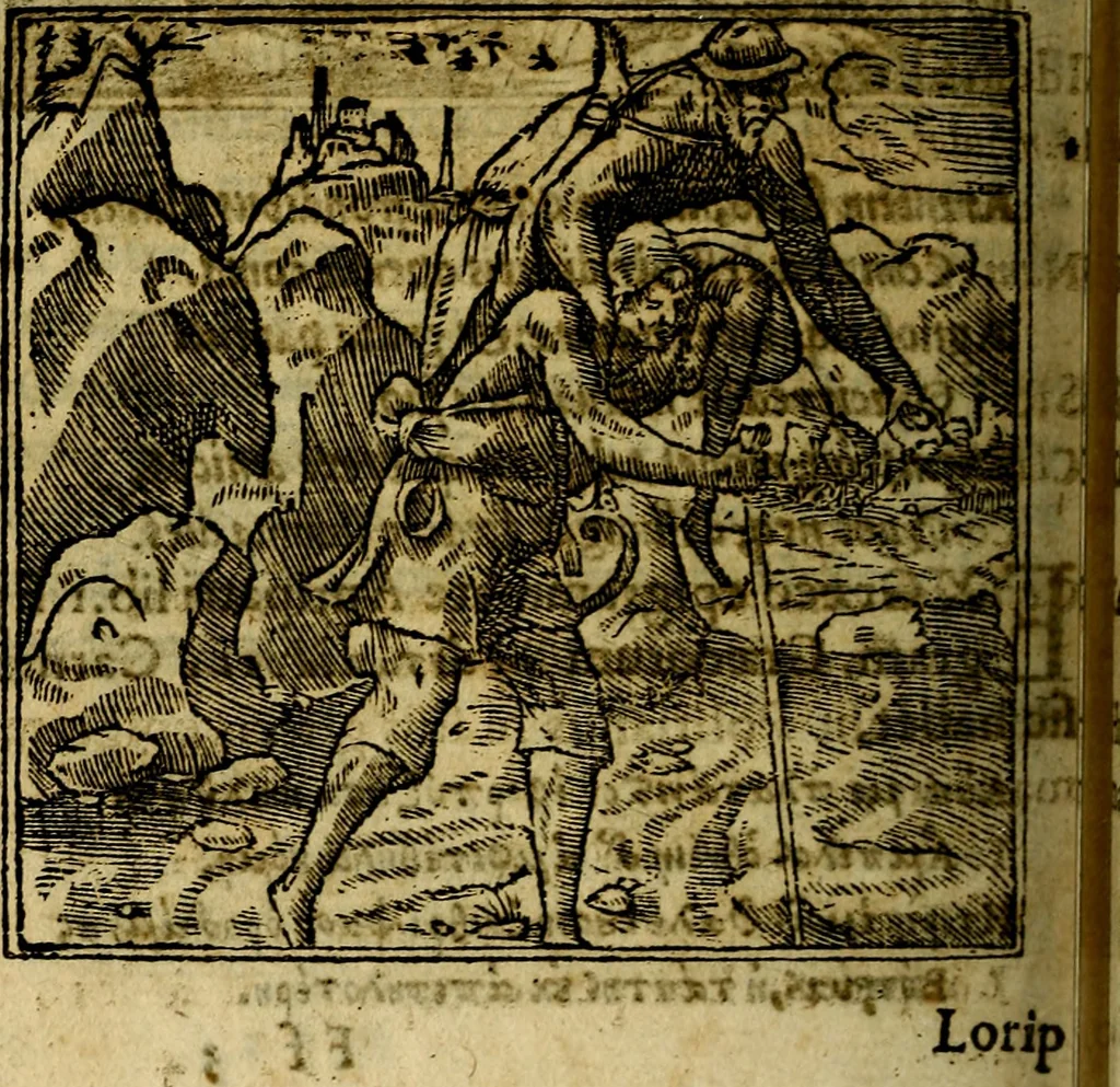 An illustration from Francisci Sanctii Brocensis .., 1573, leaf 461