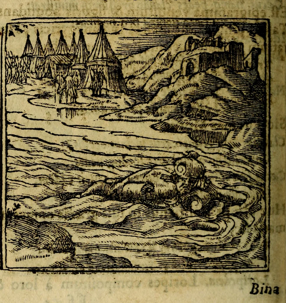 An illustration from Francisci Sanctii Brocensis .., 1573, leaf 463