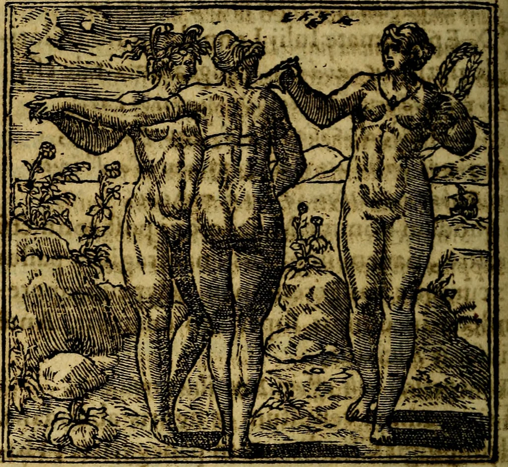 An illustration from Francisci Sanctii Brocensis .., 1573, leaf 465