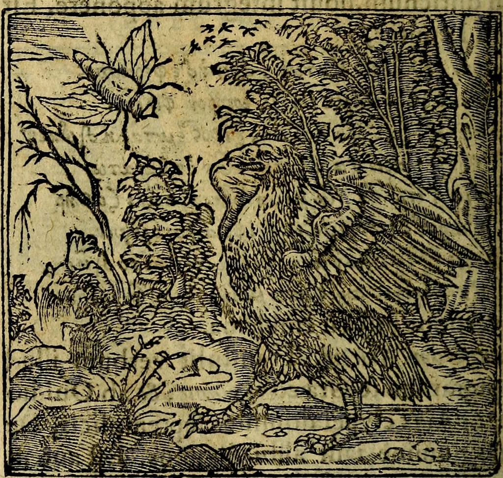 An illustration from Francisci Sanctii Brocensis .., 1573, leaf 477
