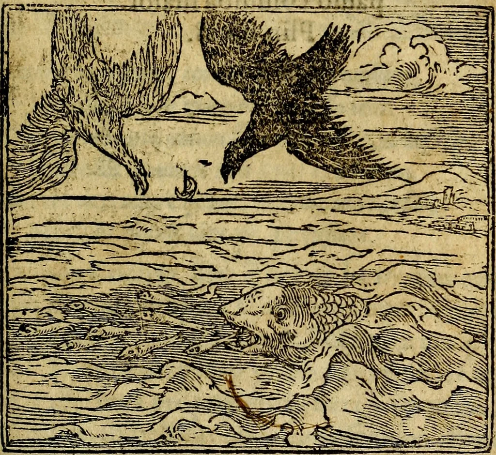An illustration from Francisci Sanctii Brocensis .., 1573, leaf 478
