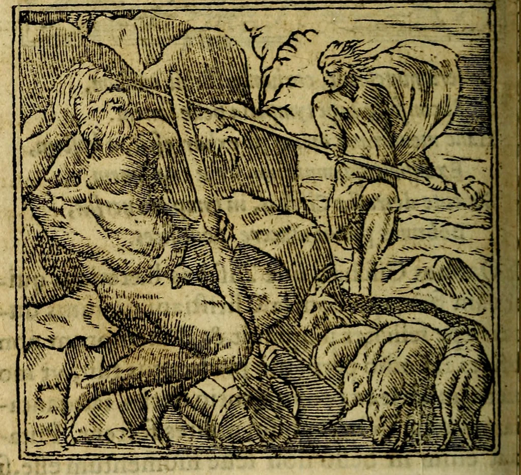 An illustration from Francisci Sanctii Brocensis .., 1573, leaf 481