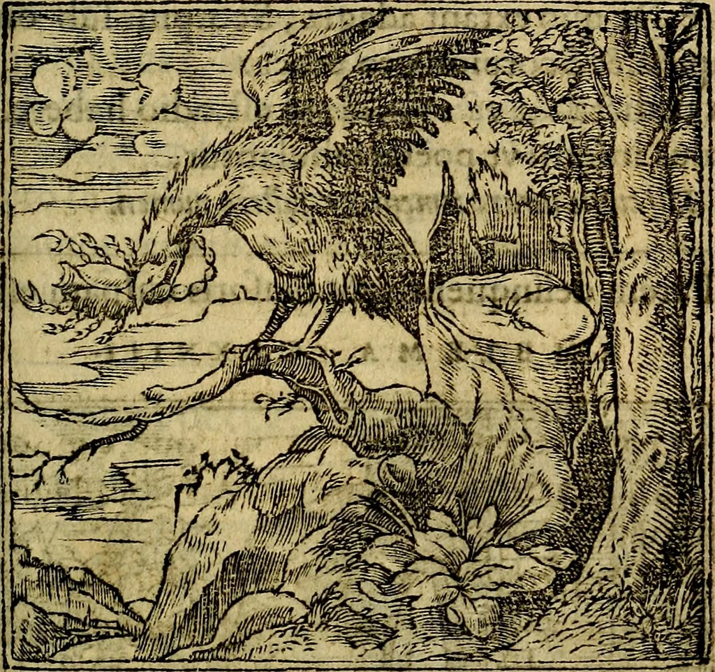 An illustration from Francisci Sanctii Brocensis .., 1573, leaf 484