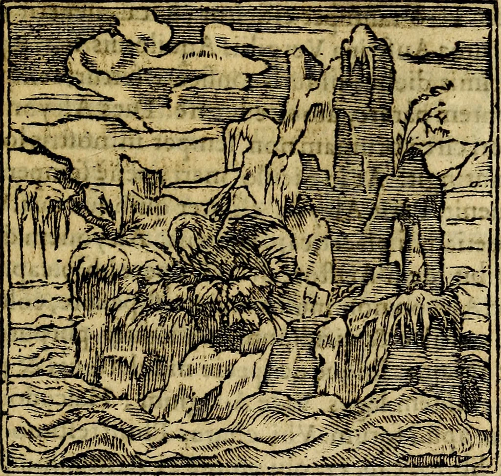 An illustration from Francisci Sanctii Brocensis .., 1573, leaf 492