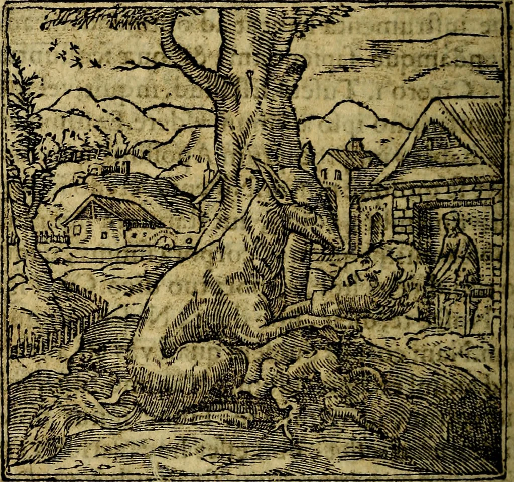 An illustration from Francisci Sanctii Brocensis .., 1573, leaf 529