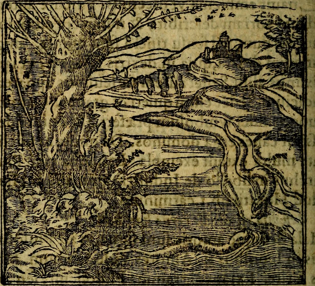An illustration from Francisci Sanctii Brocensis .., 1573, leaf 533