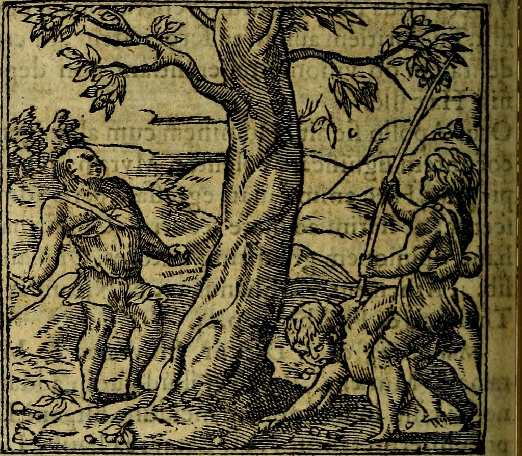 An illustration from Francisci Sanctii Brocensis .., 1573, leaf 535