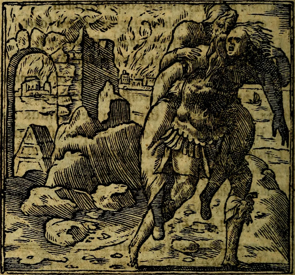 An illustration from Francisci Sanctii Brocensis .., 1573, leaf 539