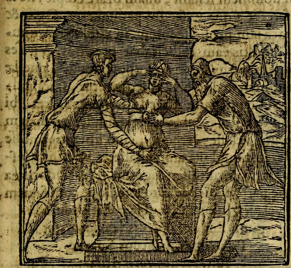 An illustration from Francisci Sanctii Brocensis .., 1573, leaf 542