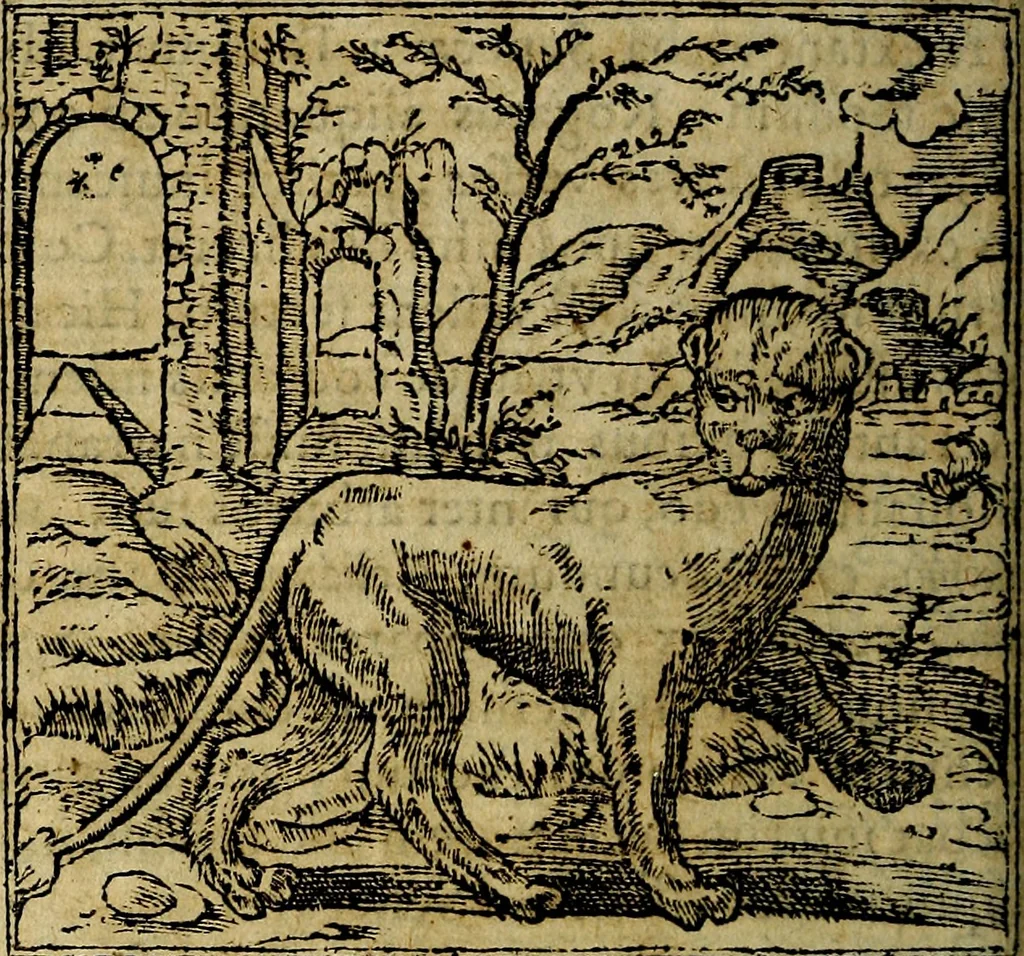 An illustration from Francisci Sanctii Brocensis .., 1573, leaf 69