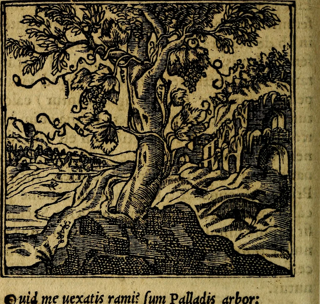 An illustration from Francisci Sanctii Brocensis .., 1573, leaf 105