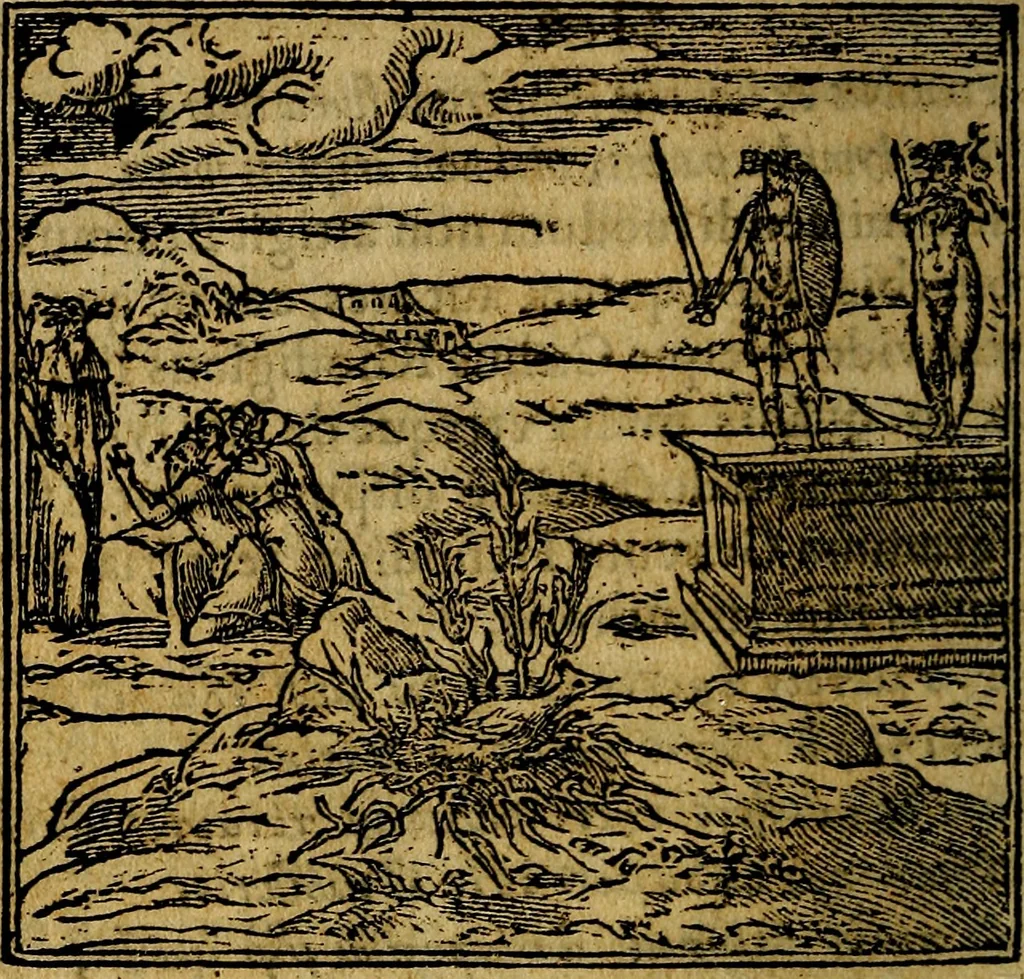 An illustration from Francisci Sanctii Brocensis .., 1573, leaf 115