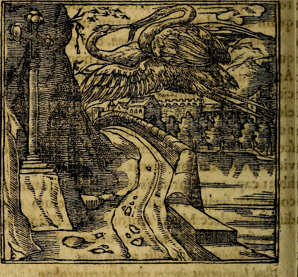 An illustration from Francisci Sanctii Brocensis .., 1573, leaf 133