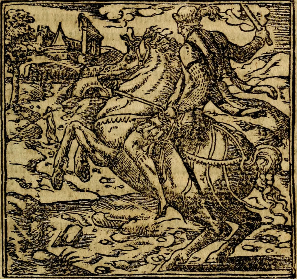 An illustration from Francisci Sanctii Brocensis .., 1573, leaf 156