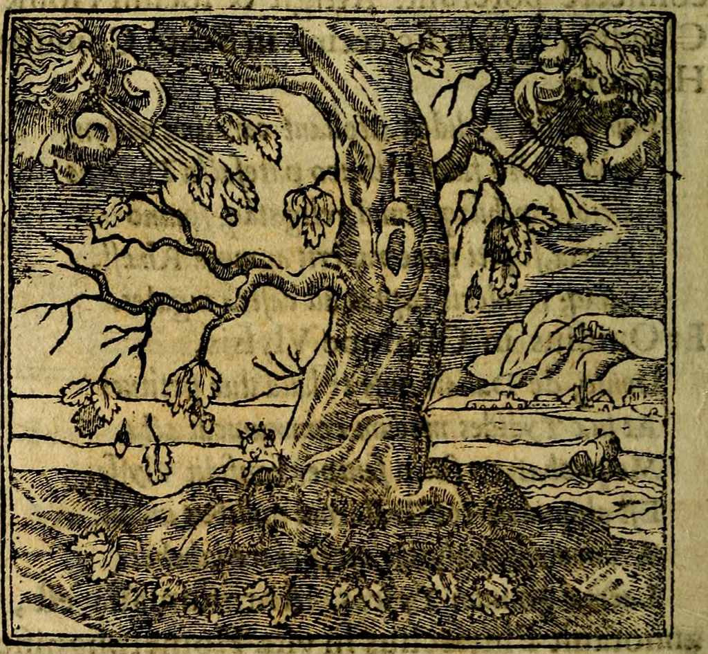 An illustration from Francisci Sanctii Brocensis .., 1573, leaf 171
