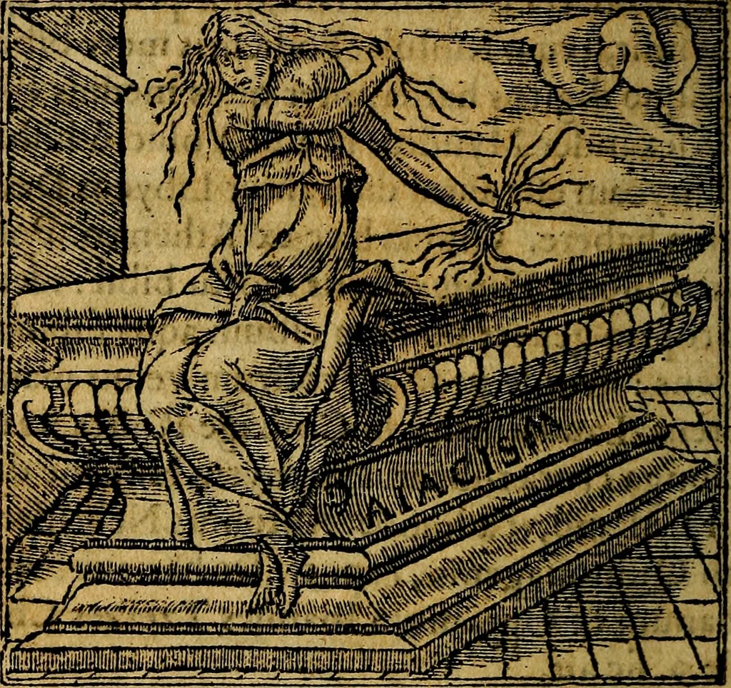 An illustration from Francisci Sanctii Brocensis .., 1573, leaf 189