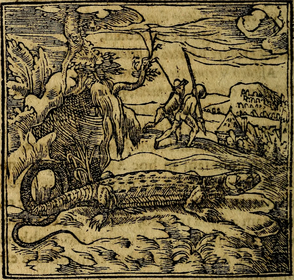 An illustration from Francisci Sanctii Brocensis .., 1573, leaf 191