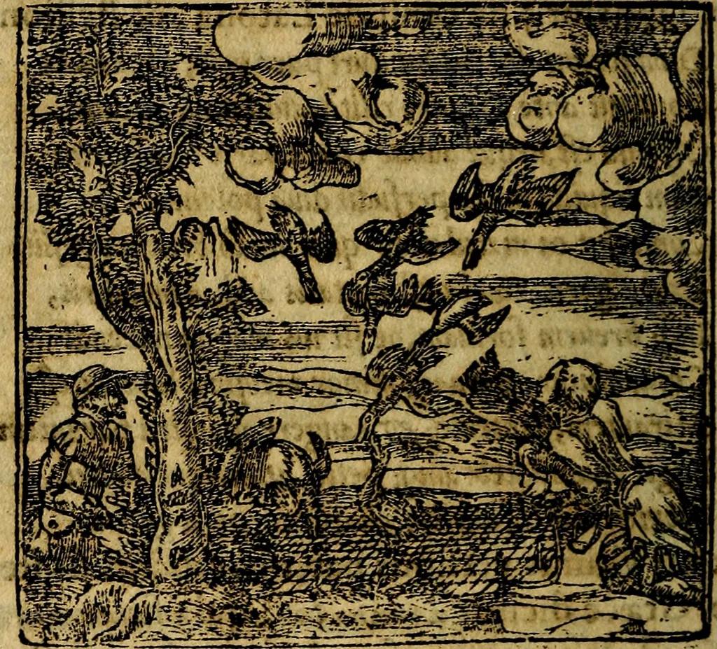 An illustration from Francisci Sanctii Brocensis .., 1573, leaf 193