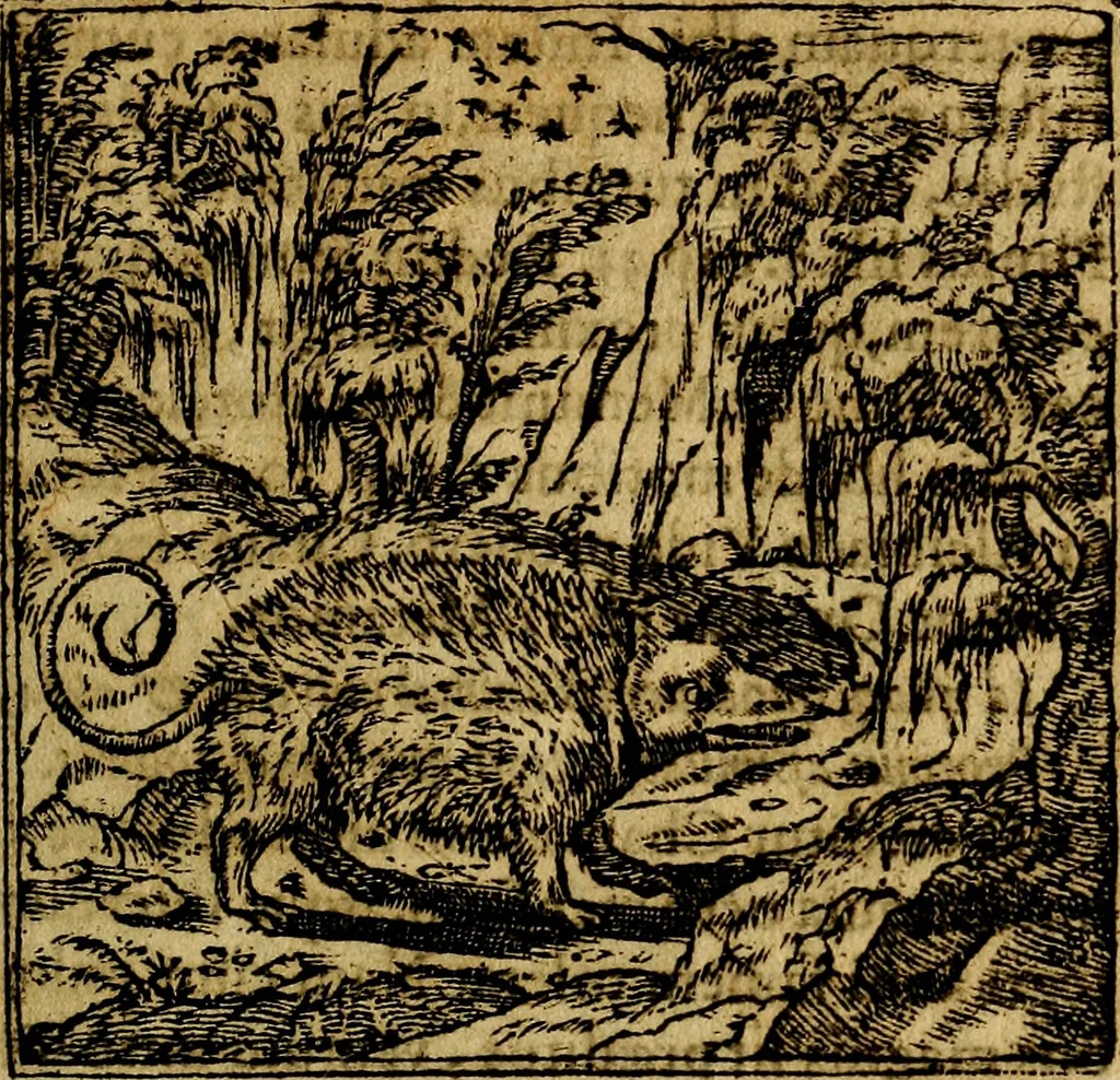 An illustration from Francisci Sanctii Brocensis .., 1573, leaf 200
