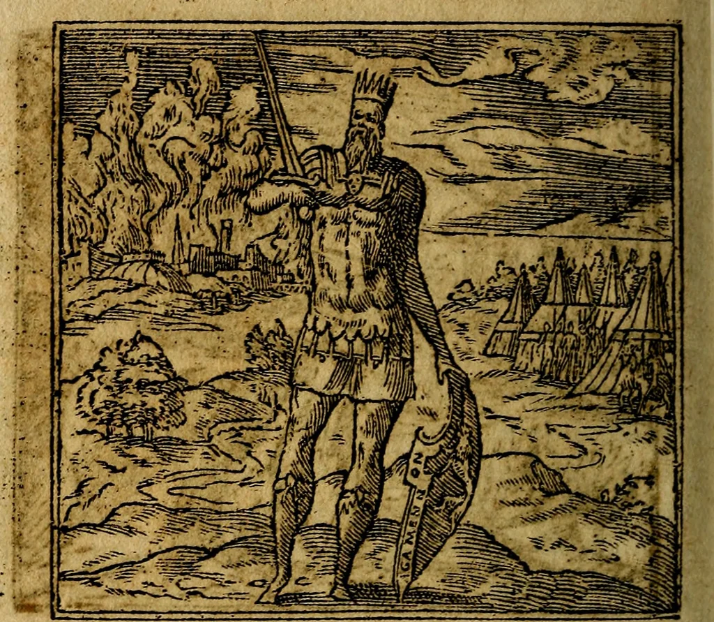 An illustration from Francisci Sanctii Brocensis .., 1573, leaf 205