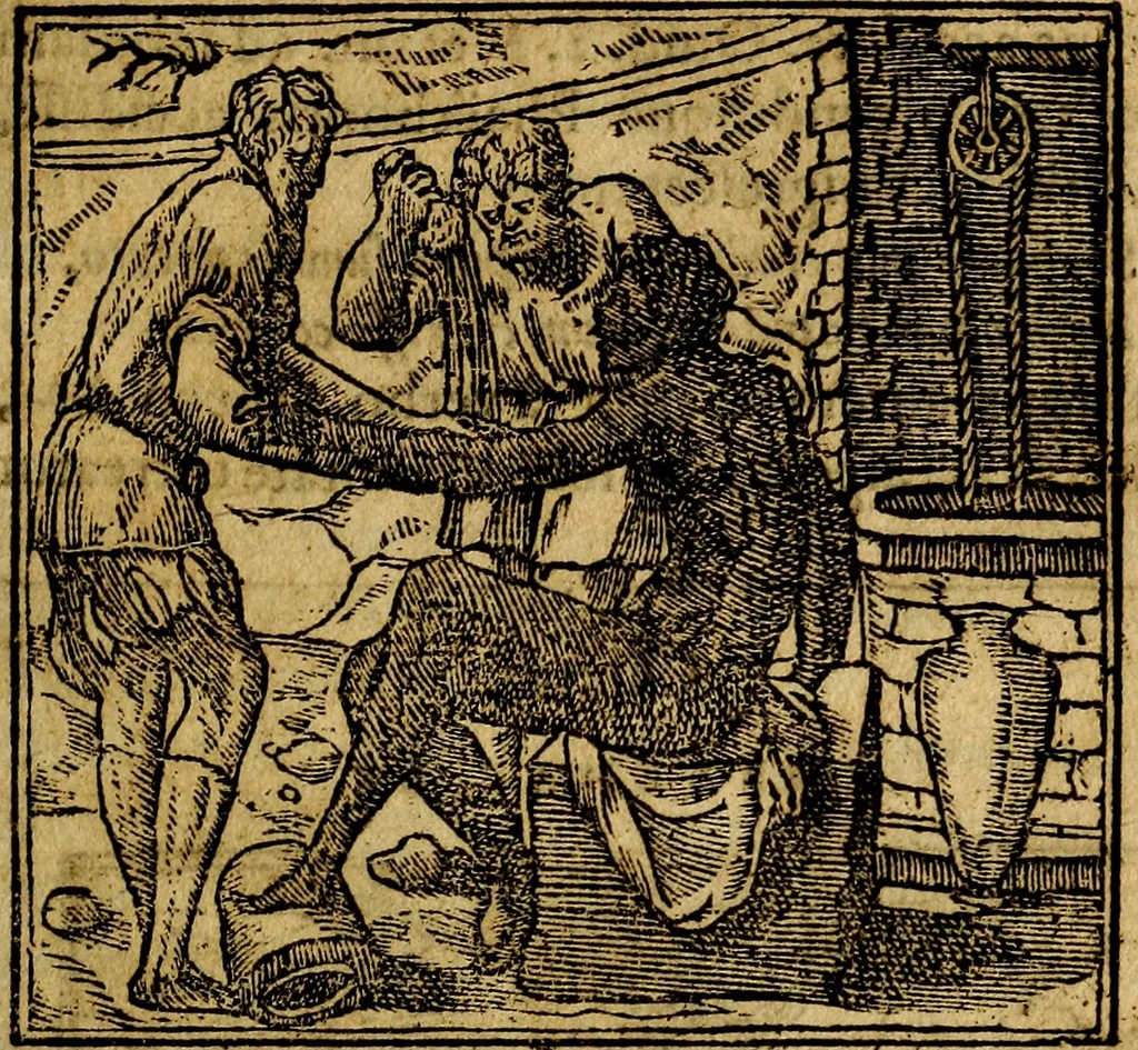 An illustration from Francisci Sanctii Brocensis .., 1573, leaf 212