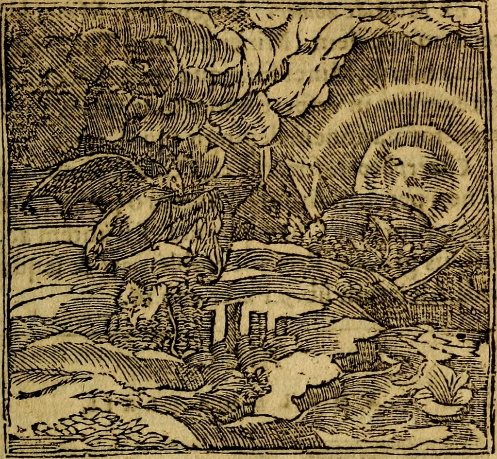 An illustration from Francisci Sanctii Brocensis .., 1573, leaf 216