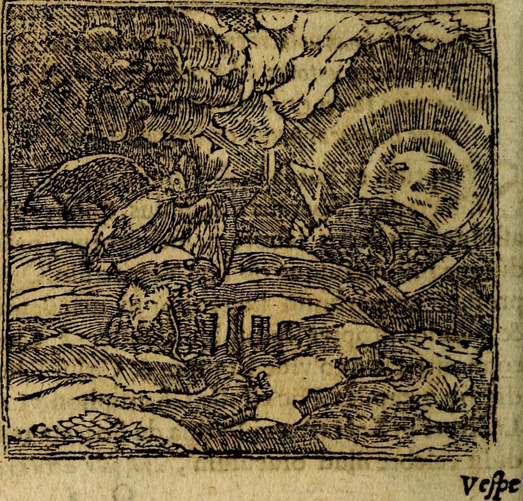 An illustration from Francisci Sanctii Brocensis .., 1573, leaf 217