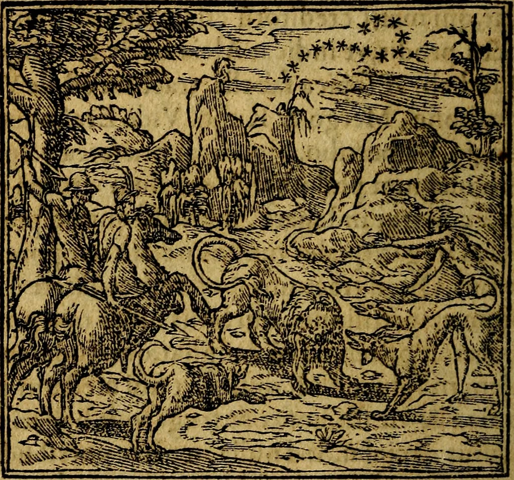 An illustration from Francisci Sanctii Brocensis .., 1573, leaf 219