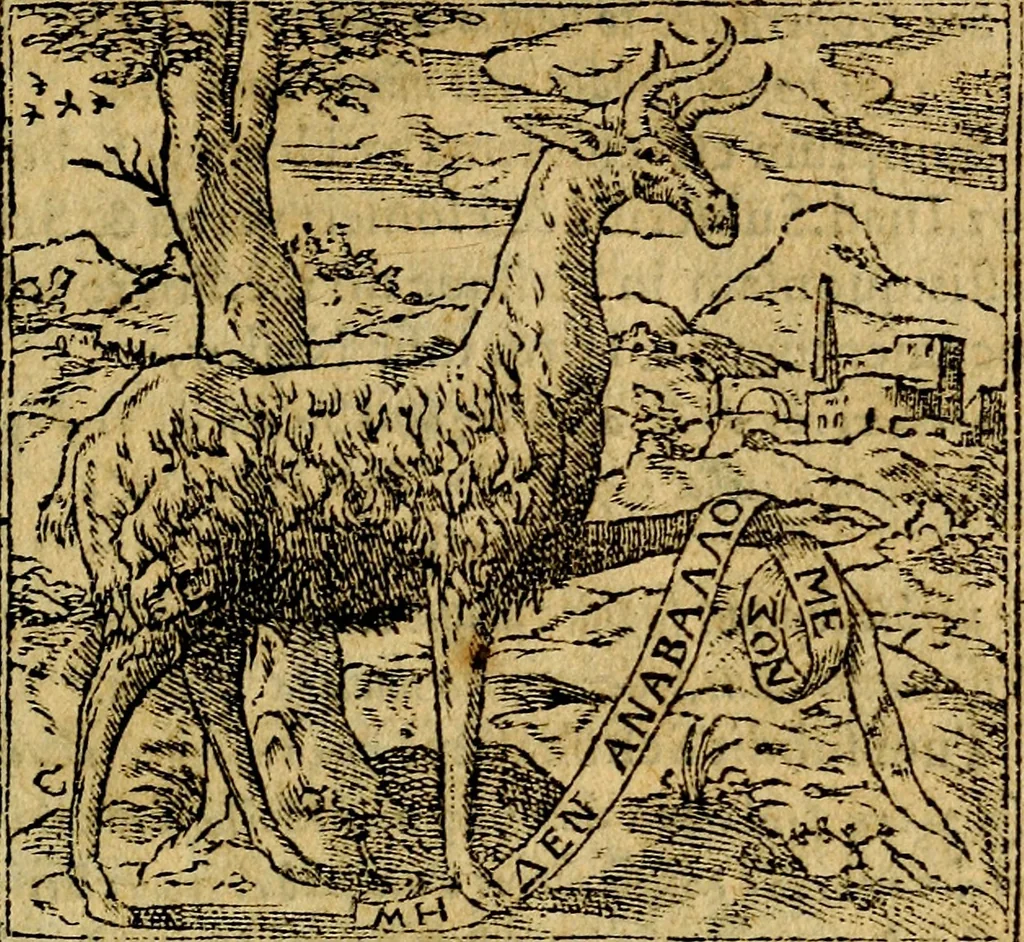 An illustration from Francisci Sanctii Brocensis .., 1573, leaf 22