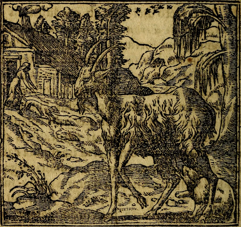 An illustration from Francisci Sanctii Brocensis .., 1573, leaf 221