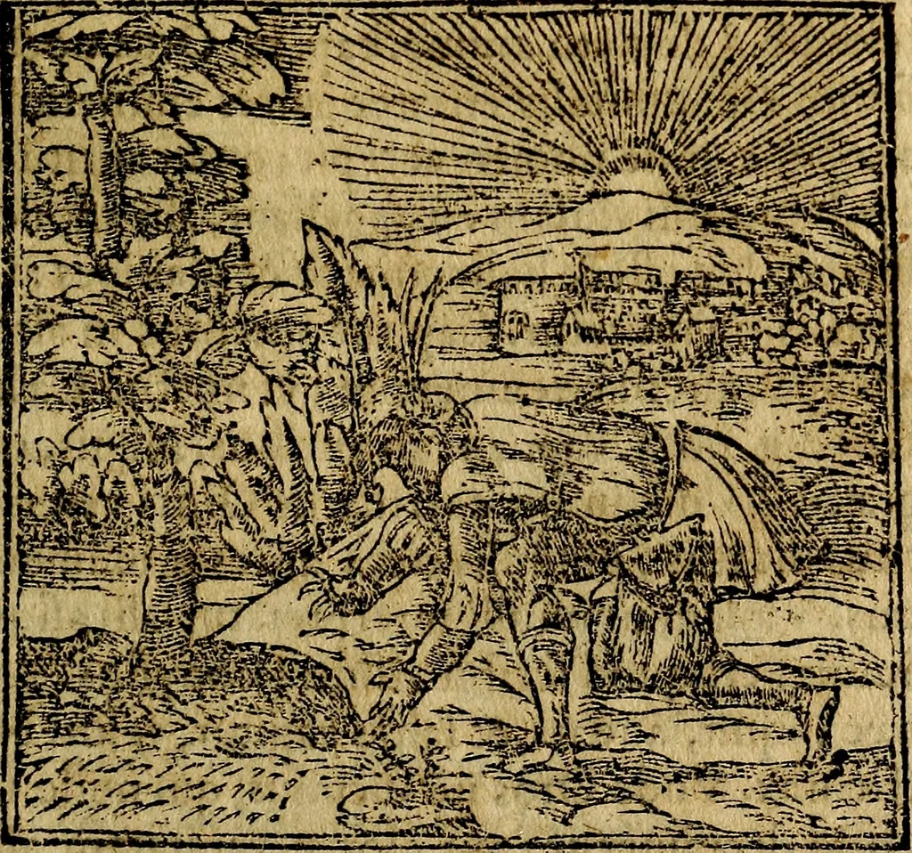 An illustration from Francisci Sanctii Brocensis .., 1573, leaf 222