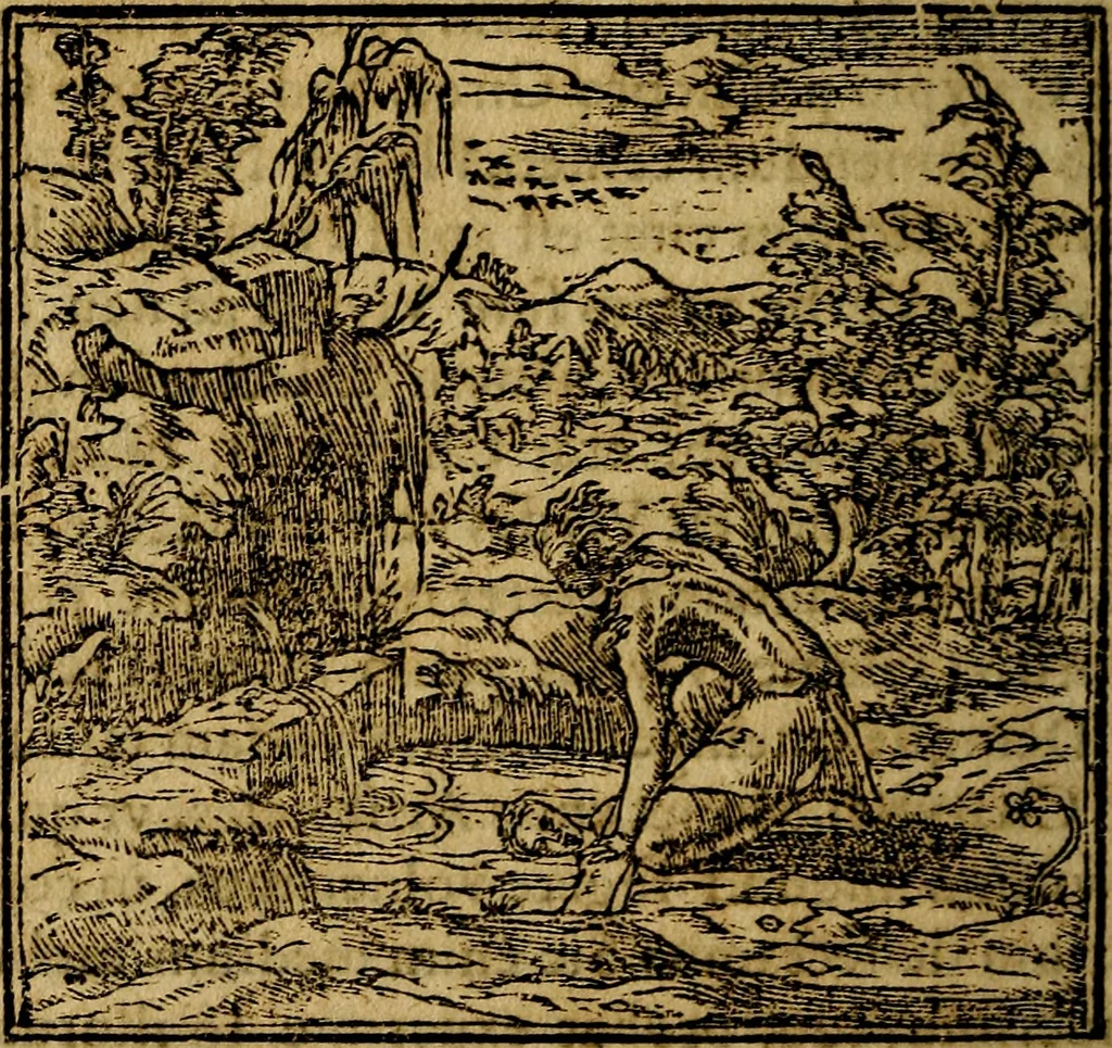 An illustration from Francisci Sanctii Brocensis .., 1573, leaf 233