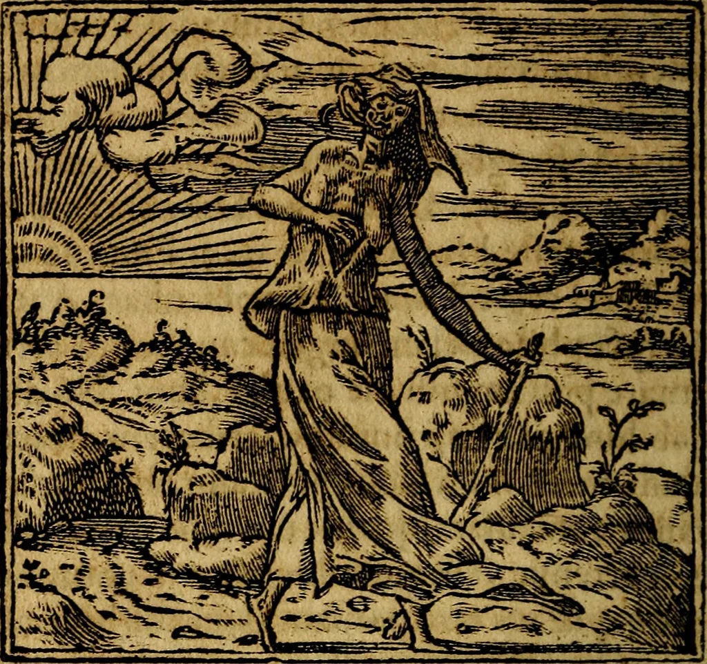 An illustration from Francisci Sanctii Brocensis .., 1573, leaf 239