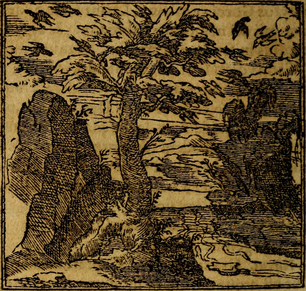 An illustration from Francisci Sanctii Brocensis .., 1573, leaf 243