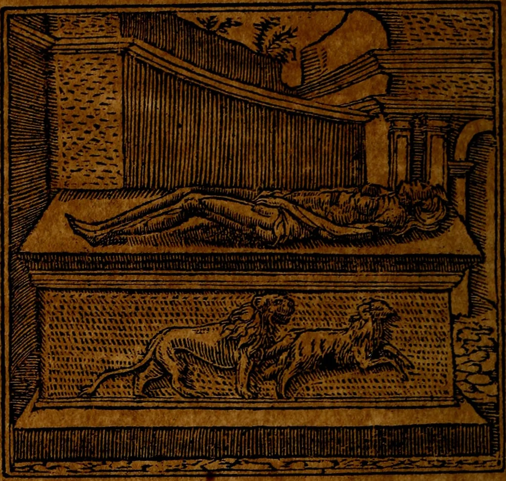 An illustration from Francisci Sanctii Brocensis .., 1573, leaf 245