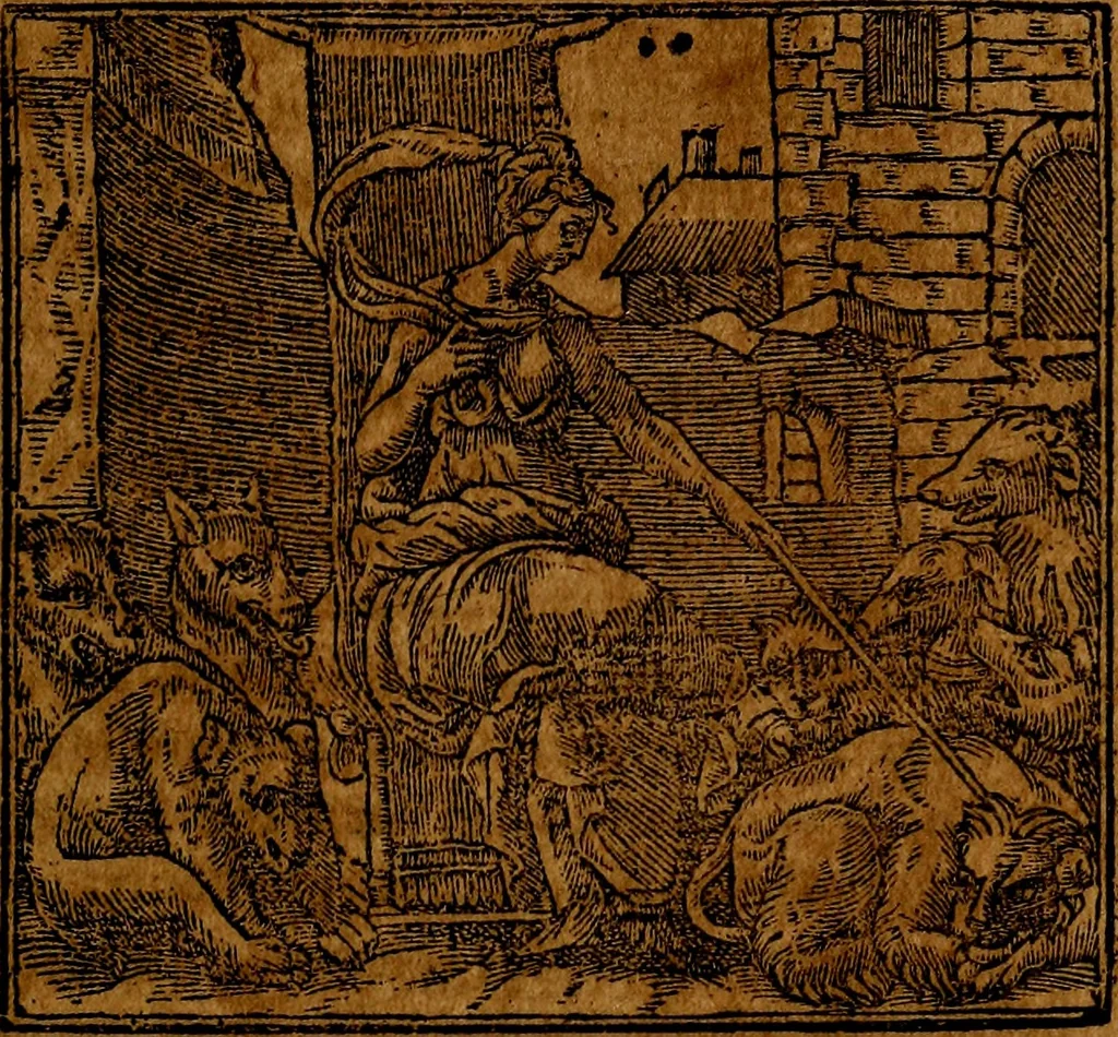 An illustration from Francisci Sanctii Brocensis .., 1573, leaf 250