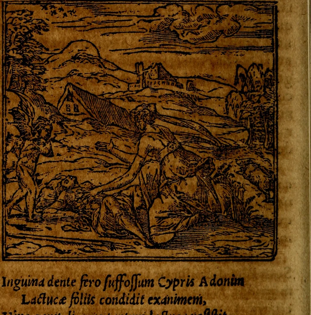 An illustration from Francisci Sanctii Brocensis .., 1573, leaf 253