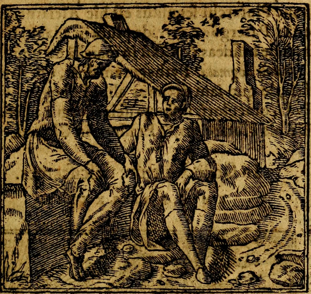 An illustration from Francisci Sanctii Brocensis .., 1573, leaf 264