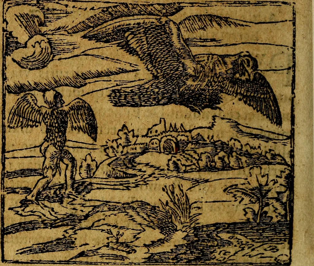 An illustration from Francisci Sanctii Brocensis .., 1573, leaf 267