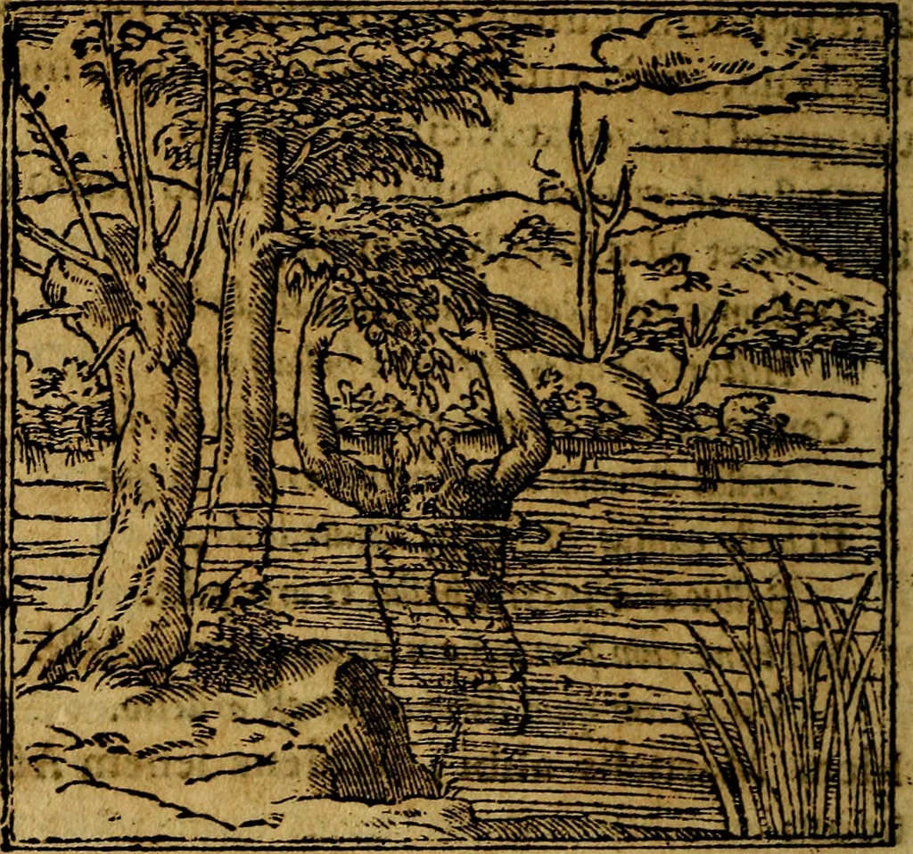 An illustration from Francisci Sanctii Brocensis .., 1573, leaf 269